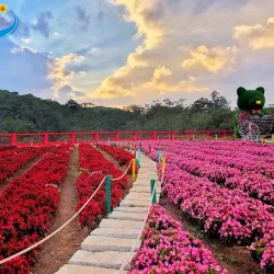 Dalat Flower Gardens - Da Lat