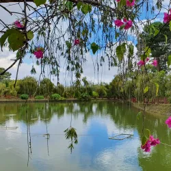 Truc Lam Zen Monastery - Da Lat