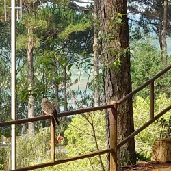 Truc Lam Zen Monastery - Da Lat