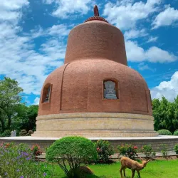 Truc Lam Zen Monastery - Da Lat