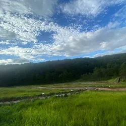 Tuyen Lam Lake - Da Lat