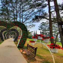 Valley of Love (Thung Lũng Tình Yêu) - Da Lat