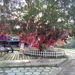 Valley of Love (Thung Lũng Tình Yêu) - Da Lat