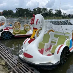 Xuan Huong Lake - Da Lat