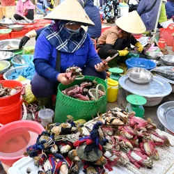 Dong Hoi Market - Dong Hoi