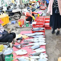 Dong Hoi Market - Dong Hoi