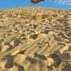 Quang Phu Sand Dunes - Dong Hoi