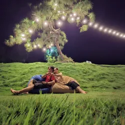 Binh Phuoc Coffee Plantations - Dong Xoai