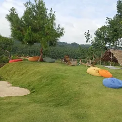 Binh Phuoc Coffee Plantations - Dong Xoai