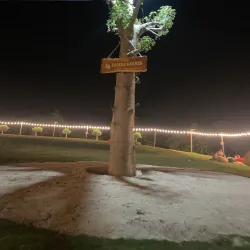 Binh Phuoc Coffee Plantations - Dong Xoai