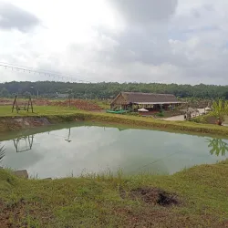 Binh Phuoc Coffee Plantations - Dong Xoai