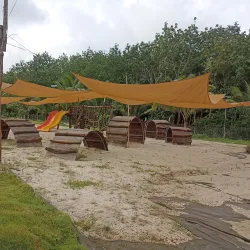 Binh Phuoc Coffee Plantations - Dong Xoai