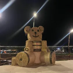 Binh Phuoc Coffee Plantations - Dong Xoai