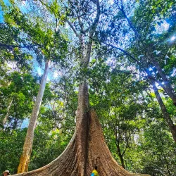 Cat Tien National Park - Dong Xoai