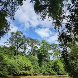 Cat Tien National Park - Dong Xoai