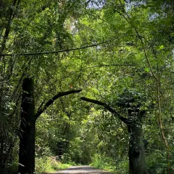 Cat Tien National Park - Dong Xoai