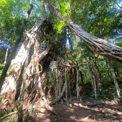 Cat Tien National Park - Dong Xoai