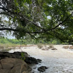 Cat Tien National Park - Dong Xoai
