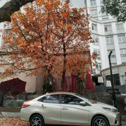 Ba Trieu Street - Ha Dong