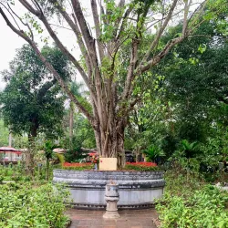 Phu La Pagoda - Ha Dong
