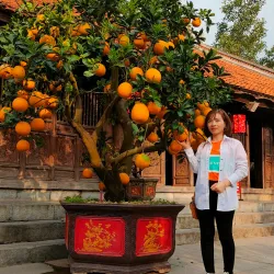 Bach Mai Temple - Hai Duong