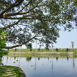 Bach Mai Temple - Hai Duong