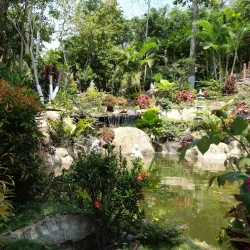 Cam Mountain (Nui Cam) - Hai Duong