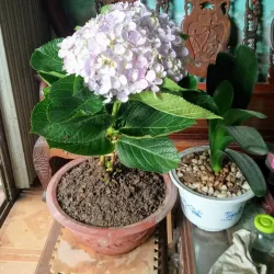 Nam Sach Market - Hai Duong