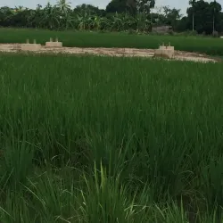 Thanh Ha Ancient Village - Hai Duong