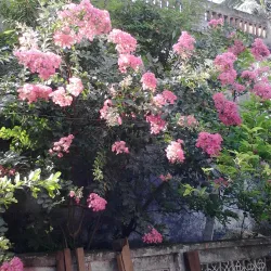 Thanh Ha Ancient Village - Hai Duong