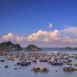 Cat Ba Island - Hai Phong