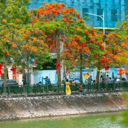 Tam Bac Lake - Hai Phong