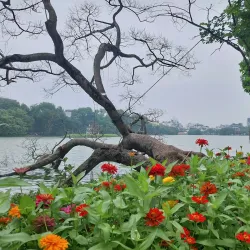Hoan Kiem Lake - Hanoi