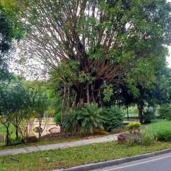 Red River Scenic Area - Hưng Yên (Huong Yen)