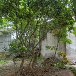 Văn Miếu Xích Đằng (Confucian Temple) - Hưng Yên (Huong Yen)