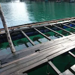 Cua Van Fishing Village - Hong Gai