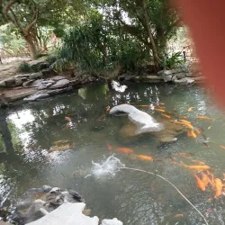 Hong Gai Market - Hong Gai