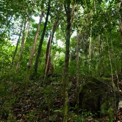Phu Quoc National Park - Kien Giang