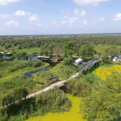 U Minh Thuong National Park - Kien Giang