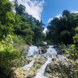 Chu Mom Ray National Park - Kon Tum