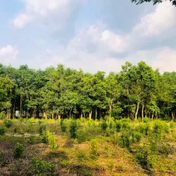 Chu Mom Ray National Park - Kon Tum