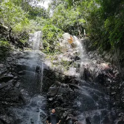 Chu Mom Ray National Park - Kon Tum