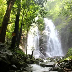 Chu Mom Ray National Park - Kon Tum