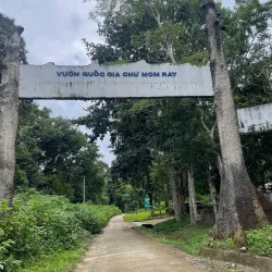 Chu Mom Ray National Park - Kon Tum