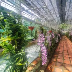 Chu Mom Ray National Park - Kon Tum