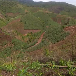 Dak Bla River - Kon Tum