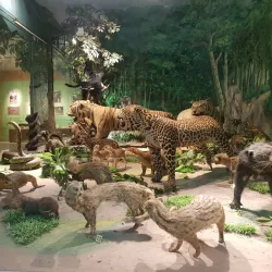 Kon Tum Museum - Kon Tum