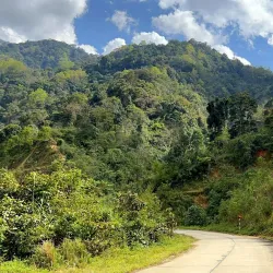 Ngoc Linh Mountain - Kon Tum