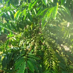 Sa Loong Village - Kon Tum