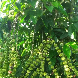 Sa Loong Village - Kon Tum